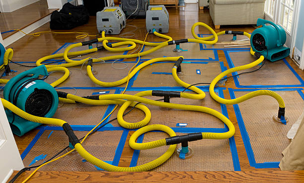 Professional Crawl Space Water Removal technician working in Palm Springs, FL